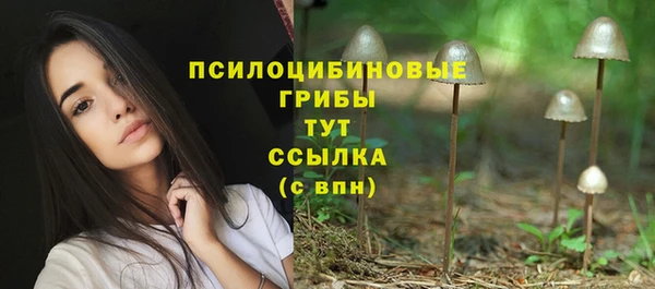 дмт Аркадак