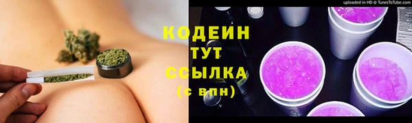 дмт Аркадак