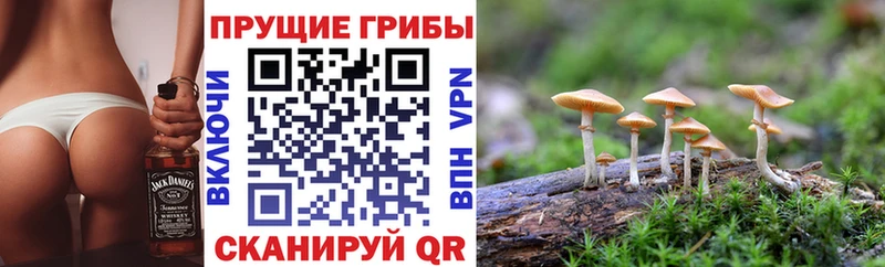Галлюциногенные грибы Magic Shrooms Пустошка